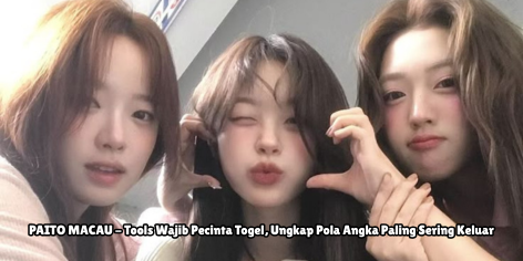 DOLLY4D : PAITO MACAU - Tools Wajib Pecinta Togel, Ungkap Pola Angka Paling Sering Keluar